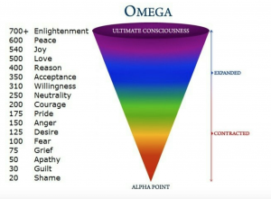 omega conscious leadership